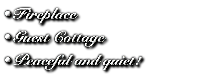 Fireplace Guest Cottage Peaceful and quiet!